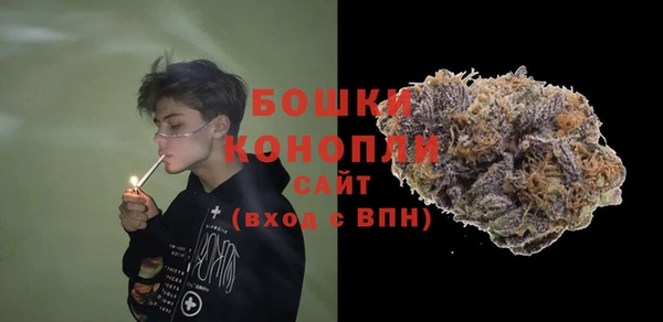 ПСИЛОЦИБИНОВЫЕ ГРИБЫ Куйбышев