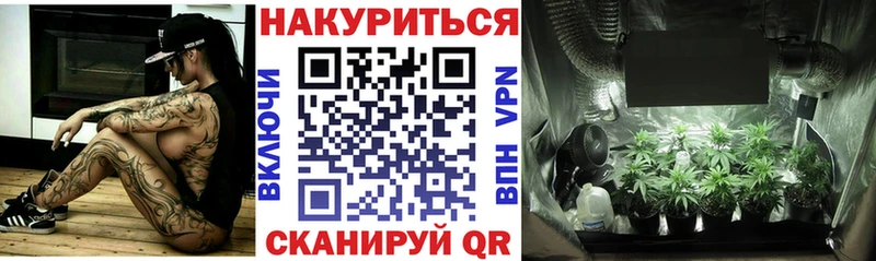 Конопля SATIVA & INDICA  KRAKEN вход  Калининец 